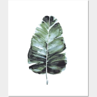 banana leaf Posters and Art